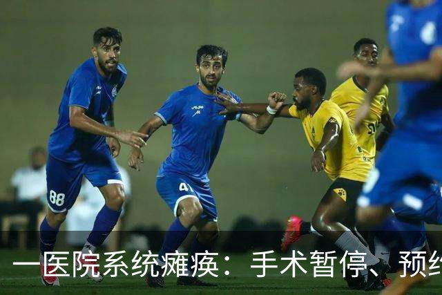 一医院系统瘫痪：手术暂停、预约取消、救护车改道
