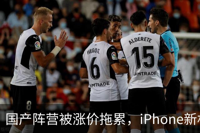 国产阵营被涨价拖累，iPhone新机中国销量增长29%