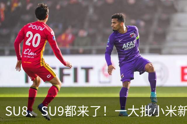 SU8、SU9都来了！一大批小米新车即将来袭